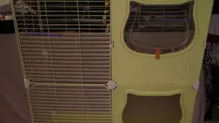 Building My Bird&rsquo;s Dream Home: Modular Aviary Setup!