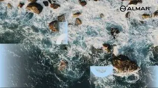 World Oceans Day 2021: &ldquo;The Ocean: Life and Livelihoods&rdquo;