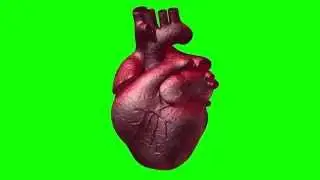greenscreen lightwave 3D quick render heartbeat