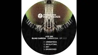 Elias Garcia - Branches