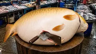 😱😱😱 I Never Seen || Big Mirror Carp Fish Cleaning & Cutting By Expert Fish Cutter