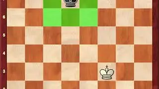 Kings in Chess