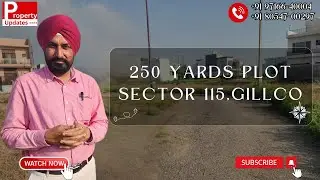 250 Yards 30*75  Plot in Gillco Sector 115 Kharar Greater Mohali