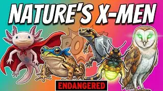 5 Animals With Real Superpowers (And They're All Endangered)