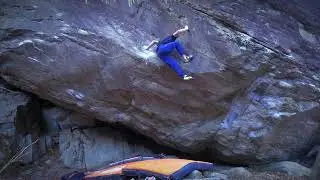 From dirt grows the flower 8C // Flo Wientjes