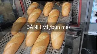 Bread roll - banh mi