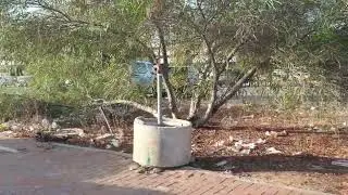 מזבלה ביבנה-תחנת הרכבת יבנה מערב 4.8.25