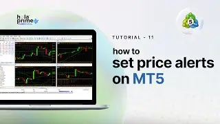 How to Set Price Alerts in MetaTrader 5 (MT5) | Hola Prime