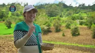 Gastronomía de Ciénaga en Magnífica Región Trece | T2