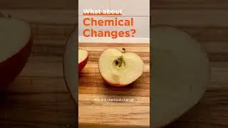 Эксперимент с яблоками: физические и химические изменения 🍎