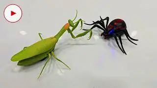 UNBOXING ELECTRIC Spider GHOST  RC, MANTIS RC | REPULSIVE RC INSECTS COLLECTION #unboxing 
