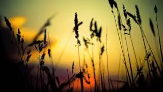 Smote - Summertime