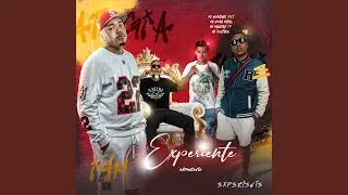Experiente