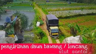 trip magelang - jember pengiriman daun bawang (loncang)