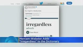 Irregardless Of What You May Think