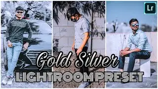 GOLD SILVER LIGHTROOM PRESET  📸🤍💫