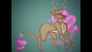 Procreate animation