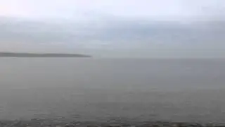 Porpoises on Fort Pond Bay