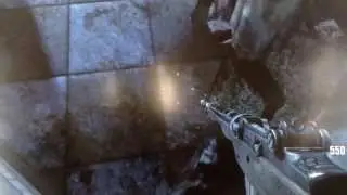 Black Ops 2 Pile Up Glitches on Bus Depot