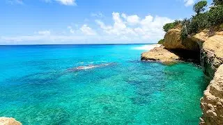 Tropical Chillout: A Hidden Cove with Soothing Wave Sounds