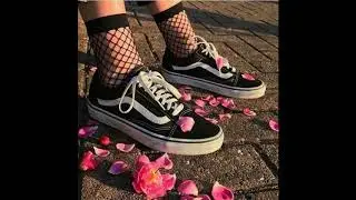 🦋Type Beat🦋- Vans
