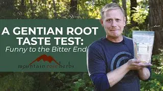 A Gentian Root Taste Test: Funny to the Bitter End
