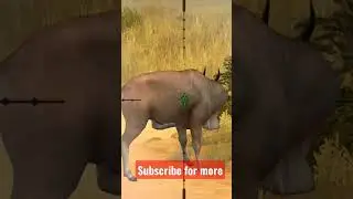 Eland Hunting In Namibia Sniper Hunting #shorts #hunter