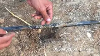 طريقة بذر البونيكام يدويا على ليات التنقيط GR  (شرط ان يكون الماء اقل من 3000 درجة ملوحة )