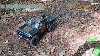 RC Crawler 1:8 - Amewi Amxrock RCX8P LC70 -IG Modellsport Aue Design. Erster Test im Wald am Limit😃