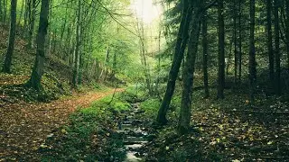 Týřov - Hrad a národní přírodní rezervace :: Krajinářův podzim 3. sezóna :: Epizoda #4