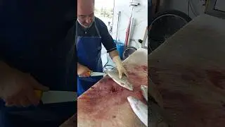 This Expert&rsquo;s Trout Fillet Technique Will Blow Your Mind! 🐟🔥