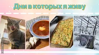 Дни в которых я живу.