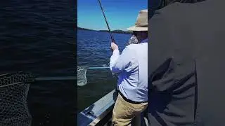 fresh water fishing Percy Priest Lake Nashville TN