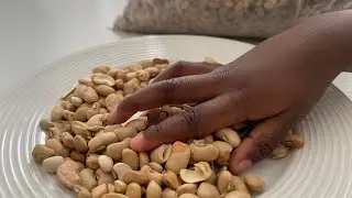 HOW TO PICK HONEY BEANS ABROAD USING META GLASSES.  #howtopickbeans #honeybeans #metaglasses #howto