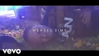 Weasel Sims - Money Come to Me Now