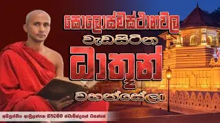 බෞද්ධයාගේ අත්පොත -වදිමූ උතුම් ධාතූන්වහන්සේලා. │Ven. Abulanpaha Siridhamma Thero│deshana│bana│Suwatha