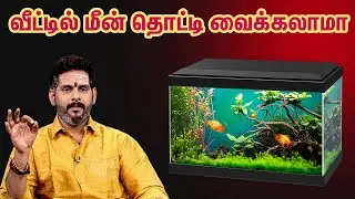 Can I raise fish at home? Do you know where to place a fish tank to increase wealth at home? ASM