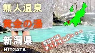 新潟県の無人温泉「黄金の湯」！混浴ではありませんが、話せるくらい近い！大自然の露天風呂！