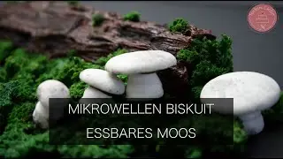 Mikrowellen Biskuit &ndash; Essbares Moos Biskuit Rezept - Superschnell und einfach!