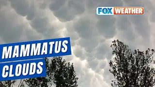 What are mammatus clouds?