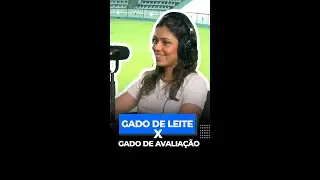 Gado de elite X Gado de avalia&ccedil;&atilde;o (JOANA DA MOTA)
