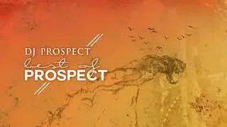 DJ Prospect - Best Of Prospect (Full Album)