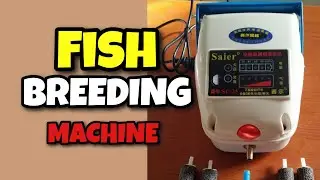 How to breed Catfish at home using aerator Pumps - Fish Breeding Machine!
