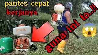 Guna ini..!!! Meracun rumput di kebun sawit jadi lebih cepat