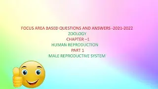 FOCUS AREA BASED QUESTIONS AND ANSWERS-PLUS TWO-CHAPTER 1-PART 1-MALE REPRODUCTIVE SYSTEM PPT