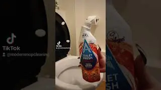 Astonish Winter Spice Toilet Fresh #cleaning #followformore #shorts #astonish