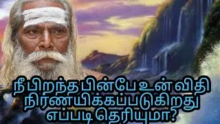 நீ பிறந்த பின்பே உன் விதி நிர்ணயிக்கப்படுகிறது எப்படி தெரியுமா?