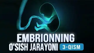Embrionning o‘sish jarayoni 3-qism | Allohning mo'jizalari 18-son