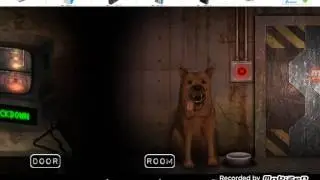 Asylum2 2noc