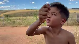 APRENDI A SOLTAR PIPA